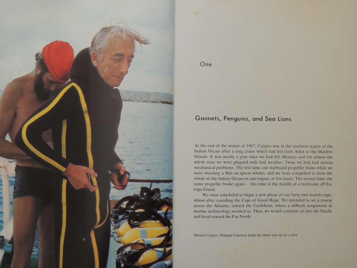 Sea Lion, Elephant Seal, Walrus - Jacques-Yves Cousteau & Philippe Diole