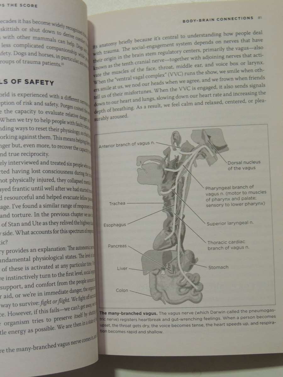 The Body Keeps the Score, Mind, Brain & Body in the Transformation of Trauma -Dr Bessel van der Kolk