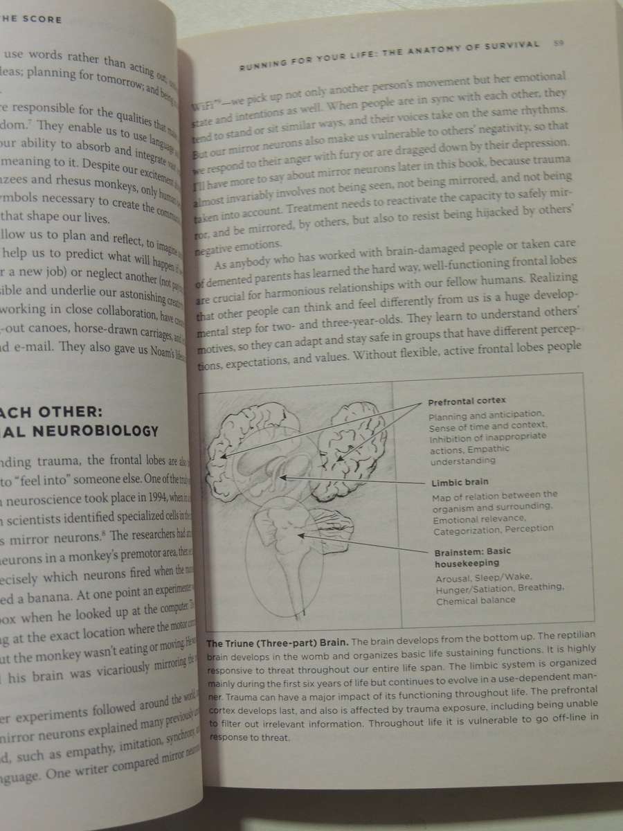 The Body Keeps the Score, Mind, Brain & Body in the Transformation of Trauma -Dr Bessel van der Kolk