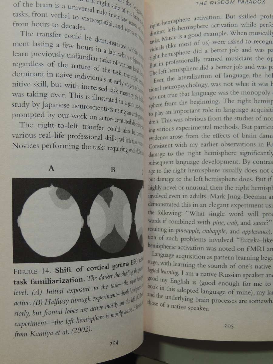 The Wisdom Paradox: How Your Mind Can Grow Stronger As Your Brain Grows Older - Elkhonon Goldberg