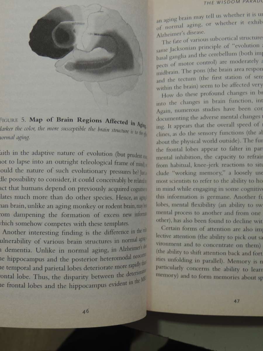 The Wisdom Paradox: How Your Mind Can Grow Stronger As Your Brain Grows Older - Elkhonon Goldberg