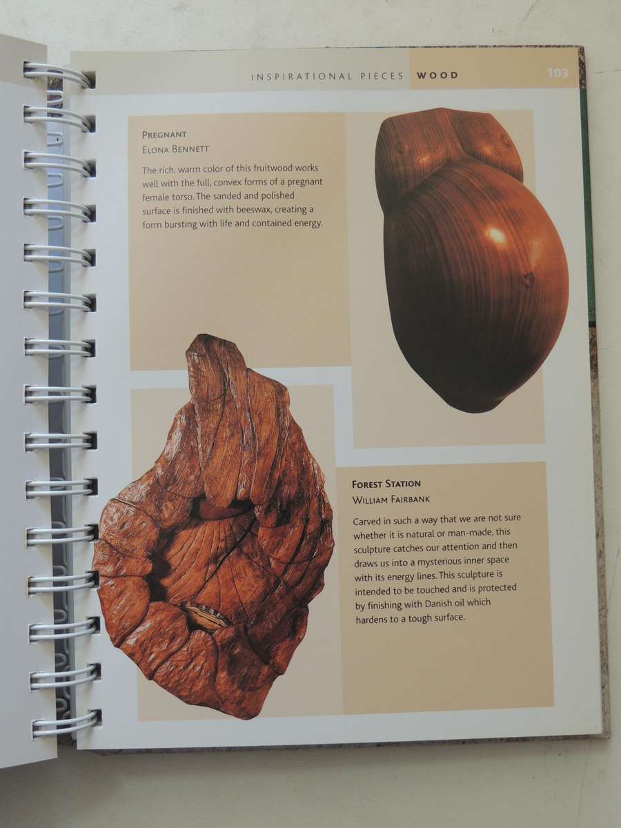 The Sculptor's Bible: The All-Media Reference To Surface Effects & How To Achieve Them  John Plowman