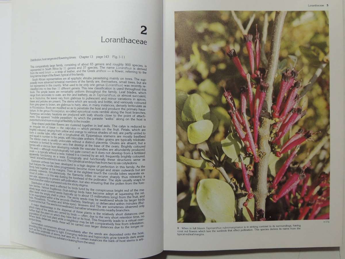 South African Parasitic Flowering Plants - Johann Visser