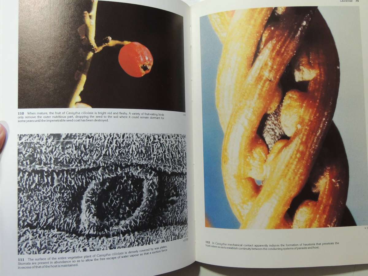 South African Parasitic Flowering Plants - Johann Visser