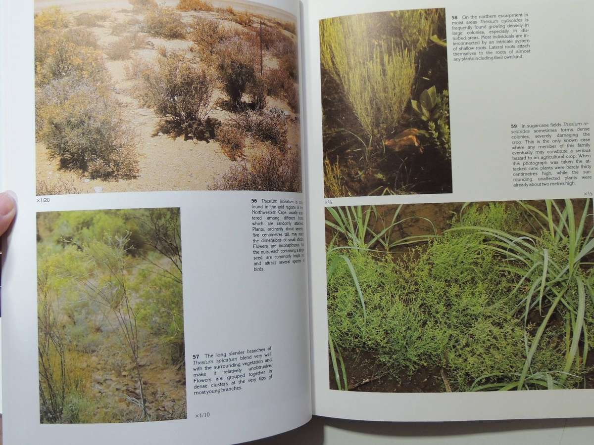 South African Parasitic Flowering Plants - Johann Visser