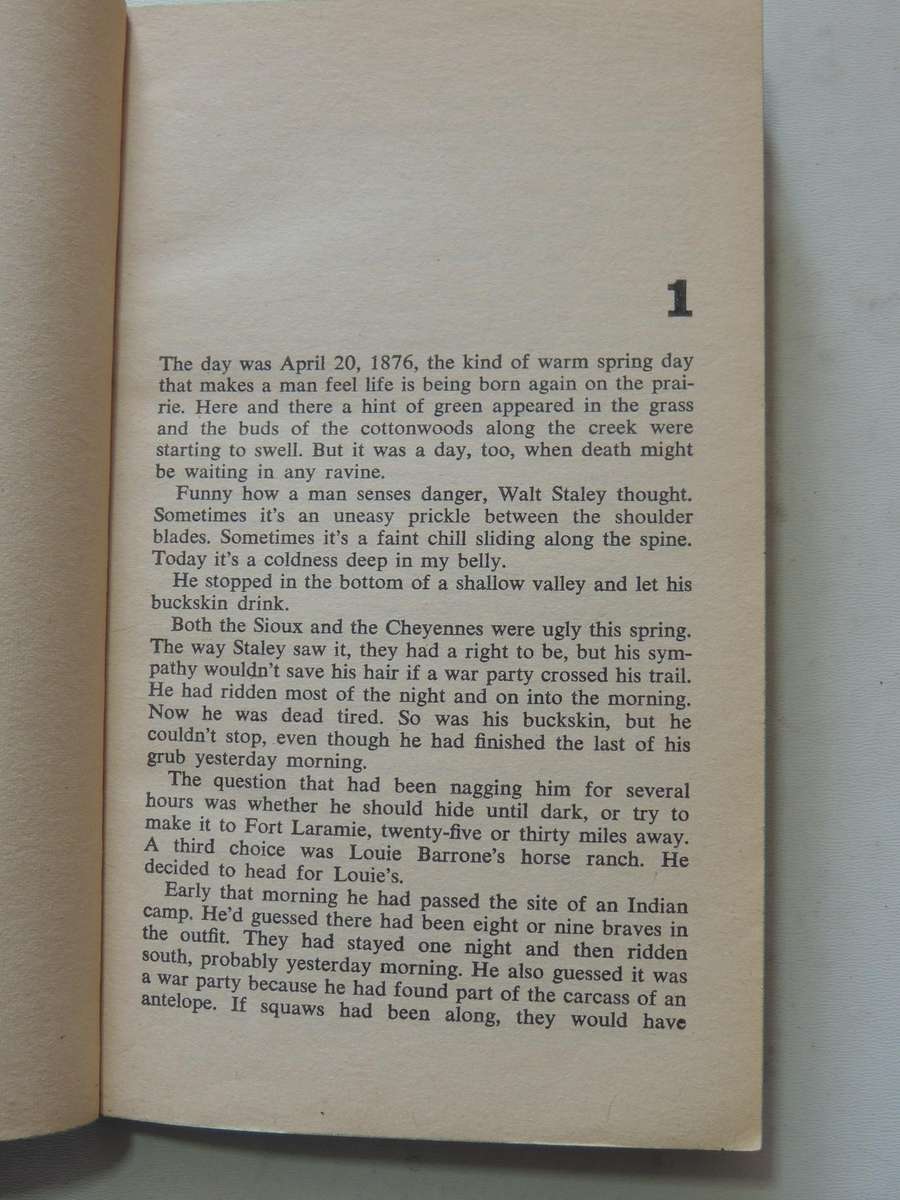 Summer Of The Sioux - Wayne D. Overholser