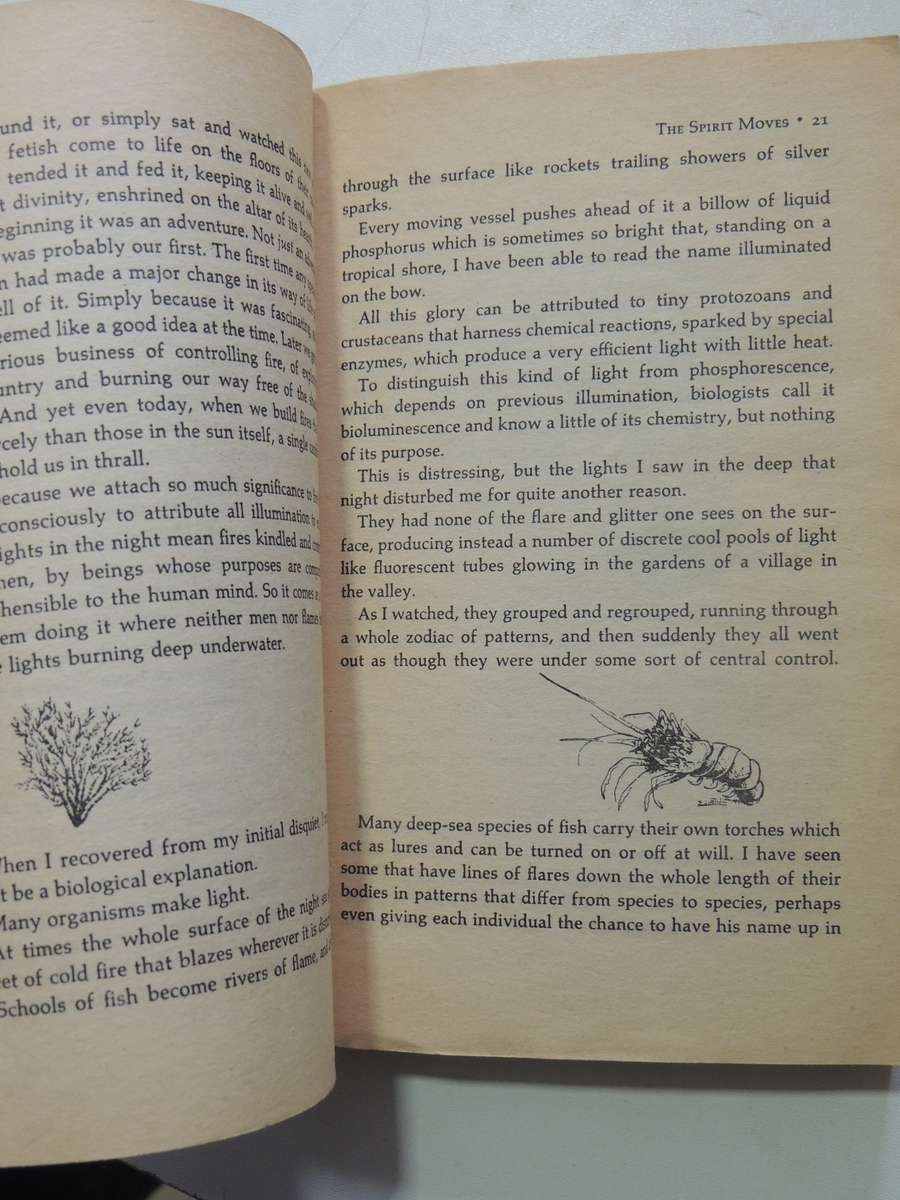 Gifts Of Unknown Things - Lyall Watson