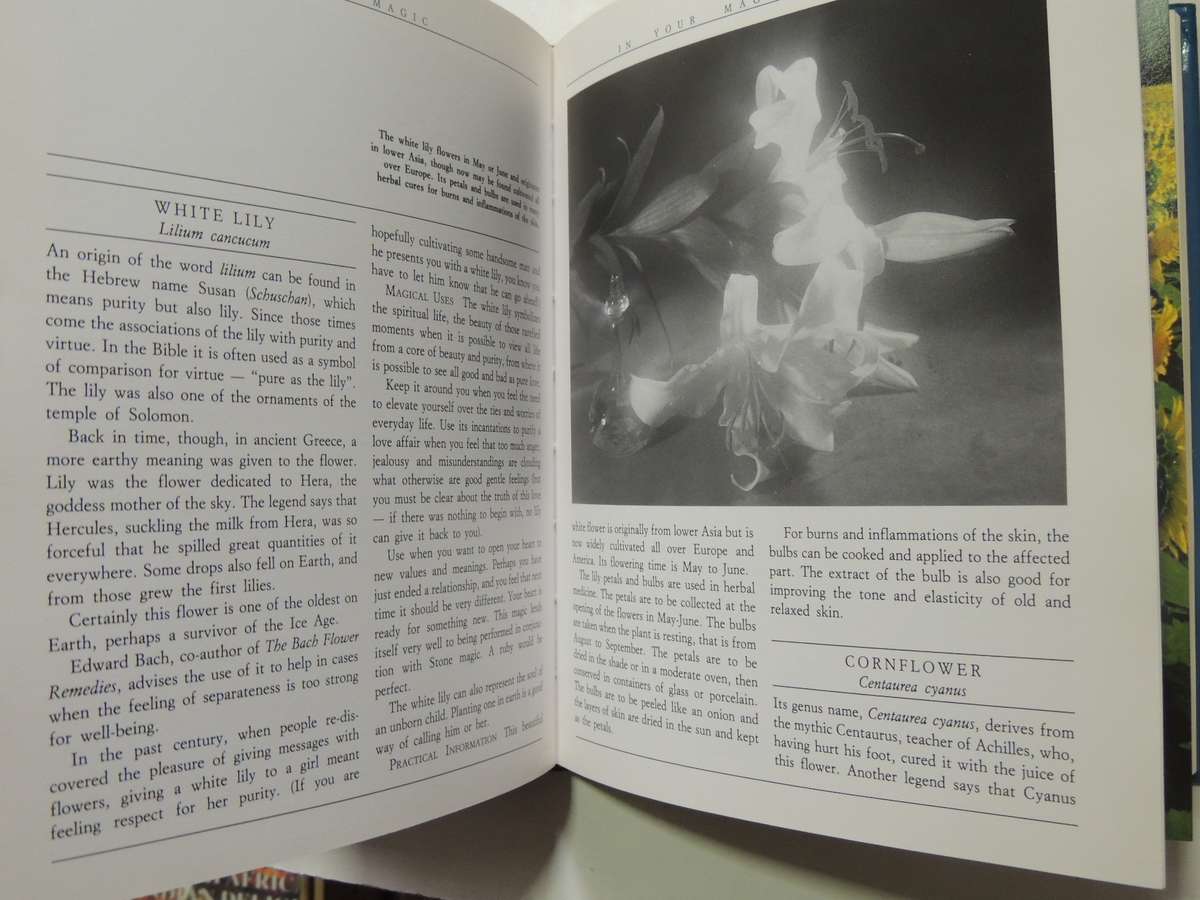 Good Magic  -Marina Medici