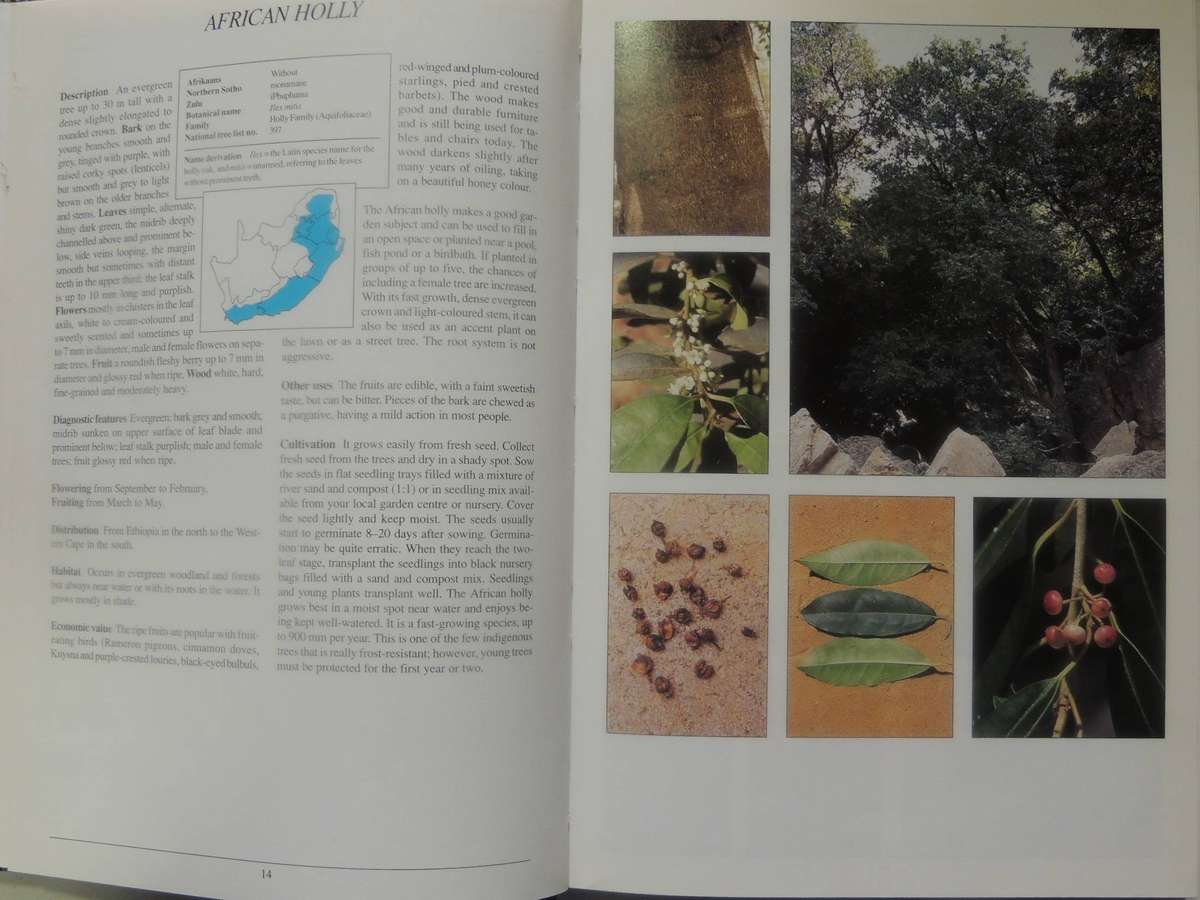 Making The Most Of Indigenous Trees - Fanie & Julye-Ann Venter
