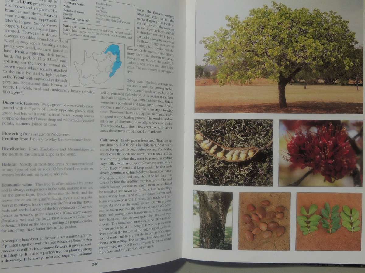 Making The Most Of Indigenous Trees - Fanie & Julye-Ann Venter