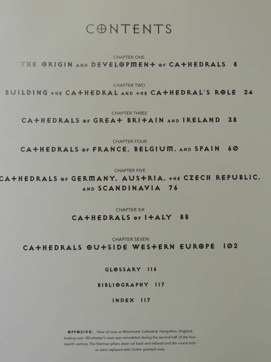 Cathedrals- Robin S. Oggins