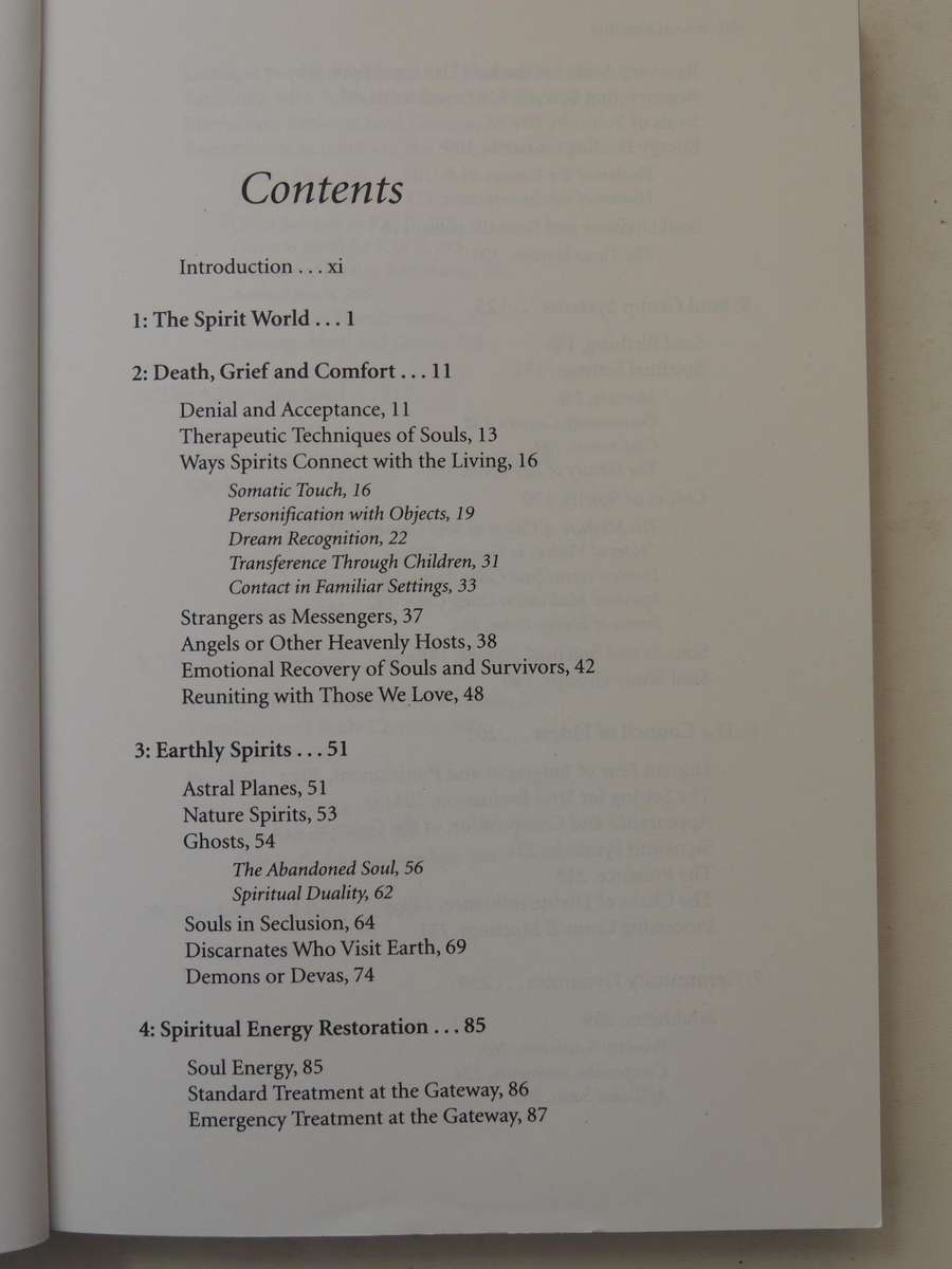 Destiny of Souls - New Case Studies Between Lives - Michael Newton