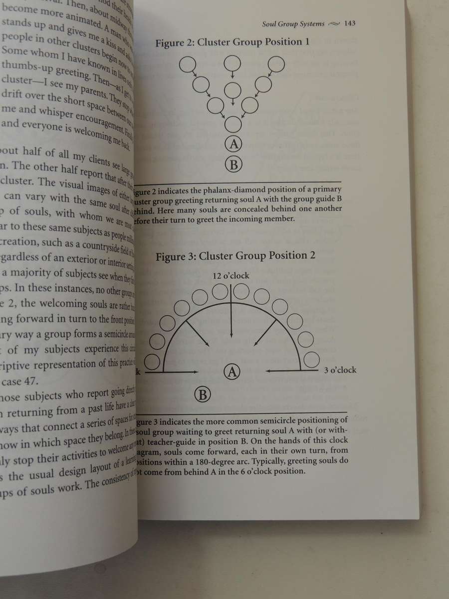 Destiny of Souls - New Case Studies Between Lives - Michael Newton