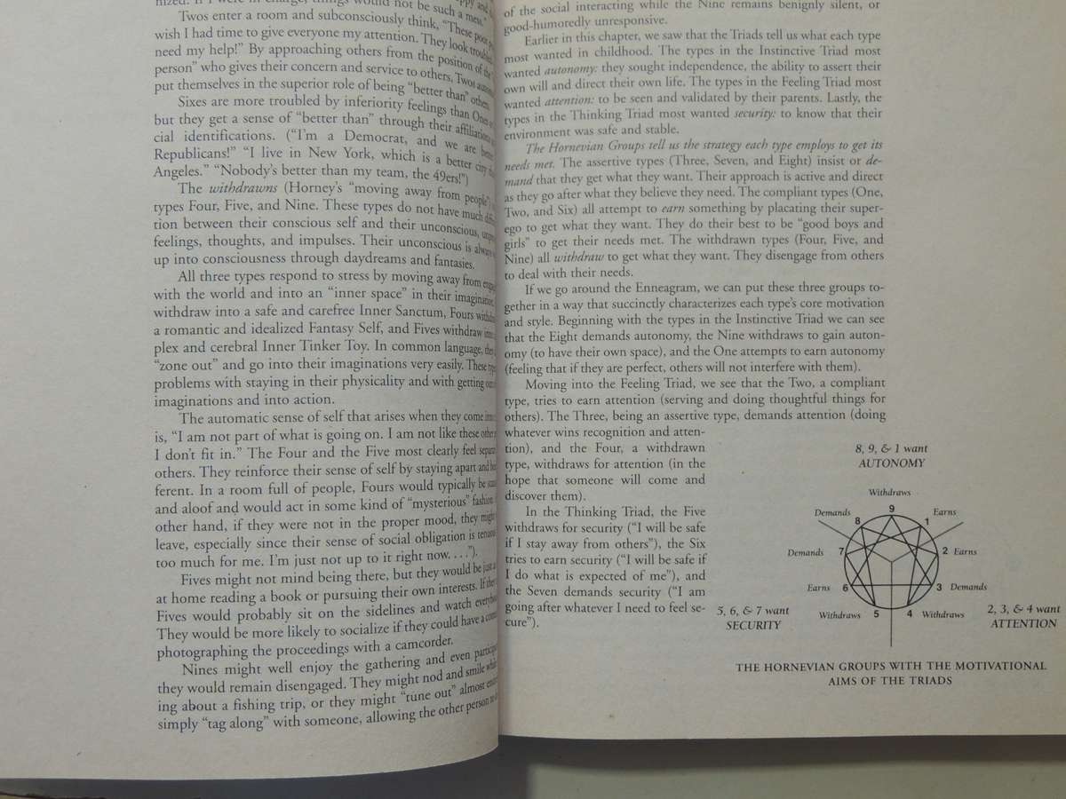 The Wisdom Of The Enneagram - Richard Don Riso, Russ Hudson