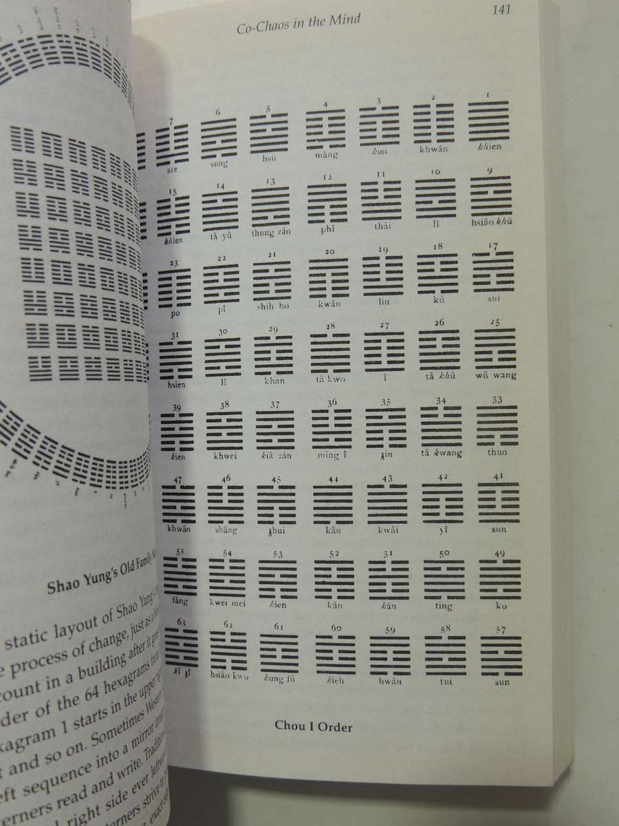 Tao of Chaos, DNA & The I Ching, Unlocking the Code of the Universe - Katya Walter