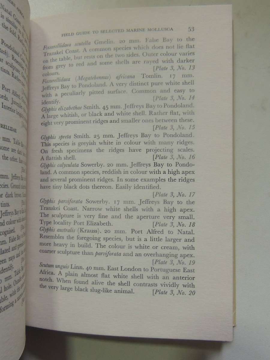 Marine Shells Of A Southern Africa - D.H. Kennelly