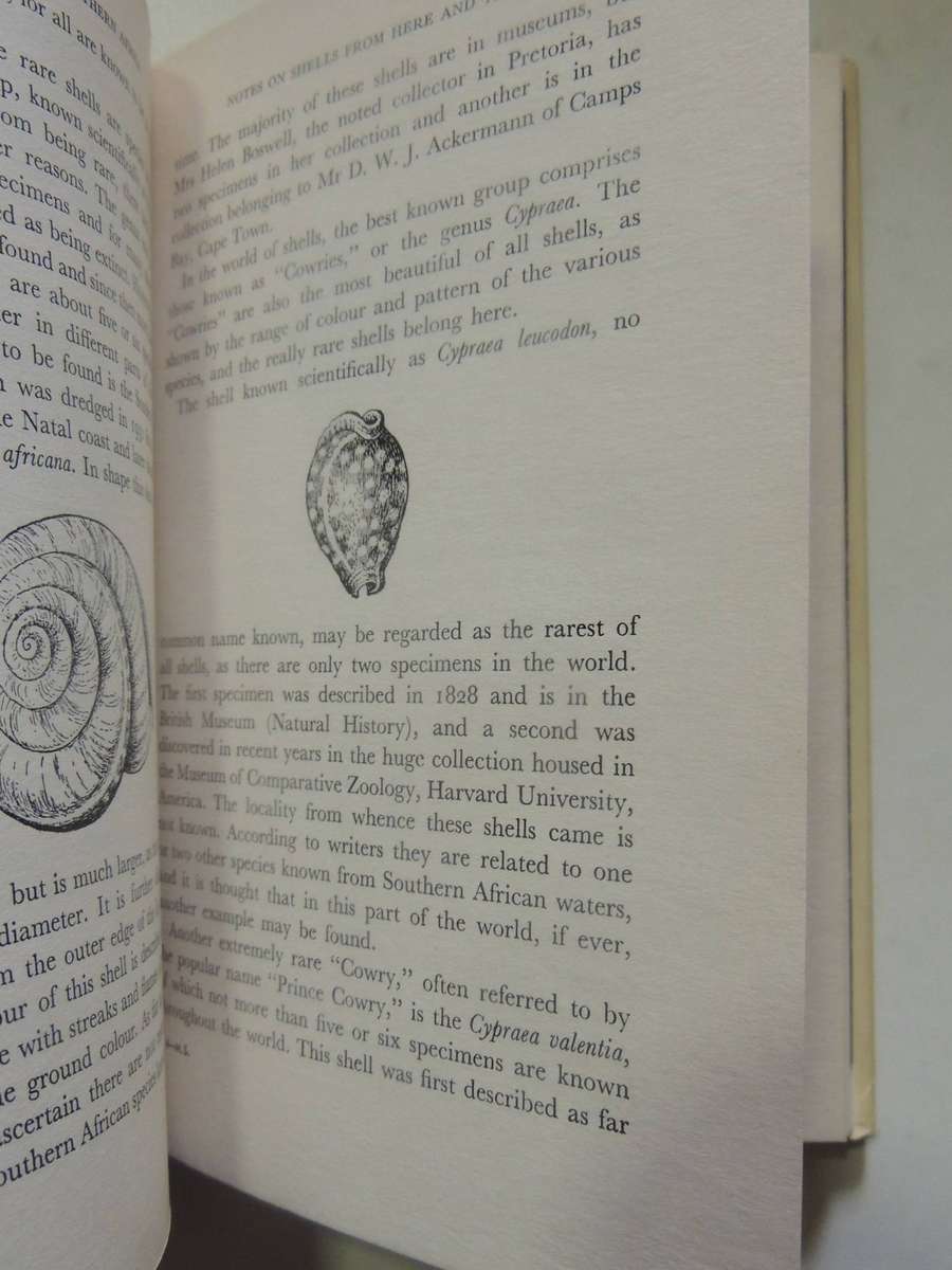 Marine Shells Of A Southern Africa - D.H. Kennelly