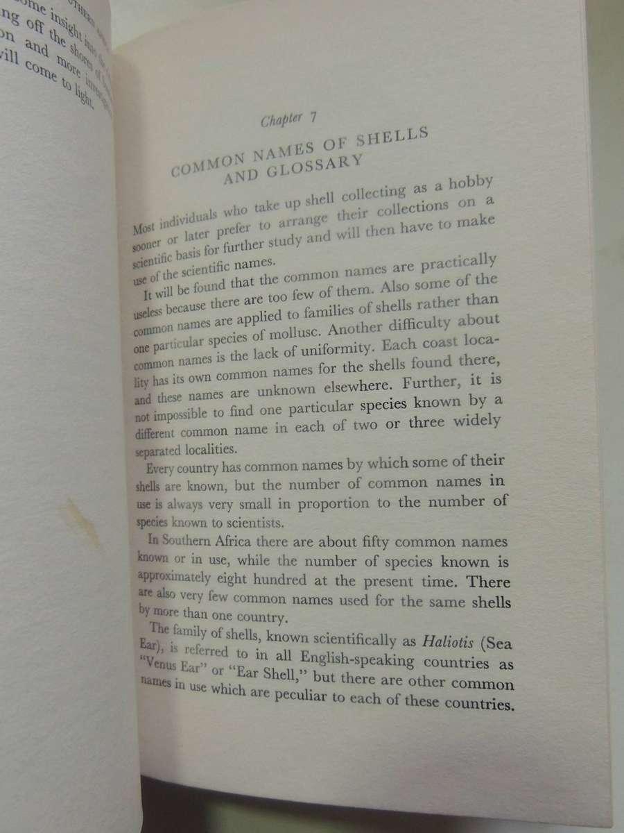 Marine Shells Of A Southern Africa - D.H. Kennelly