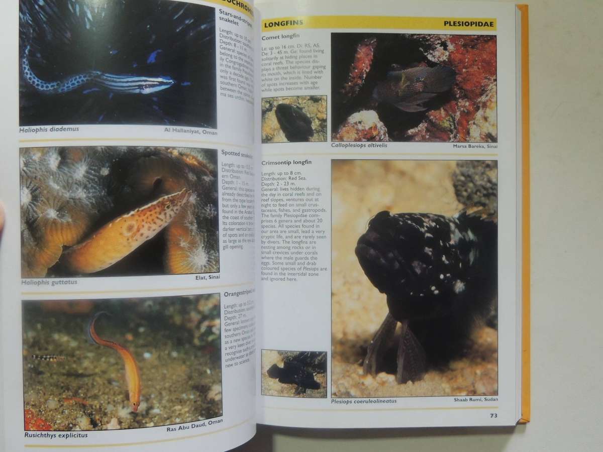 Red Sea Reef Guide (3rd Revised Edition) - Helmut Debelius