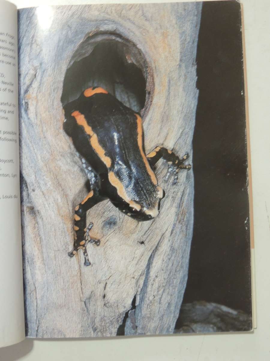 A Guide To The Identification Of TheFrogs Of The Witwatersrand - Vincent Carruthers     NO CD!!