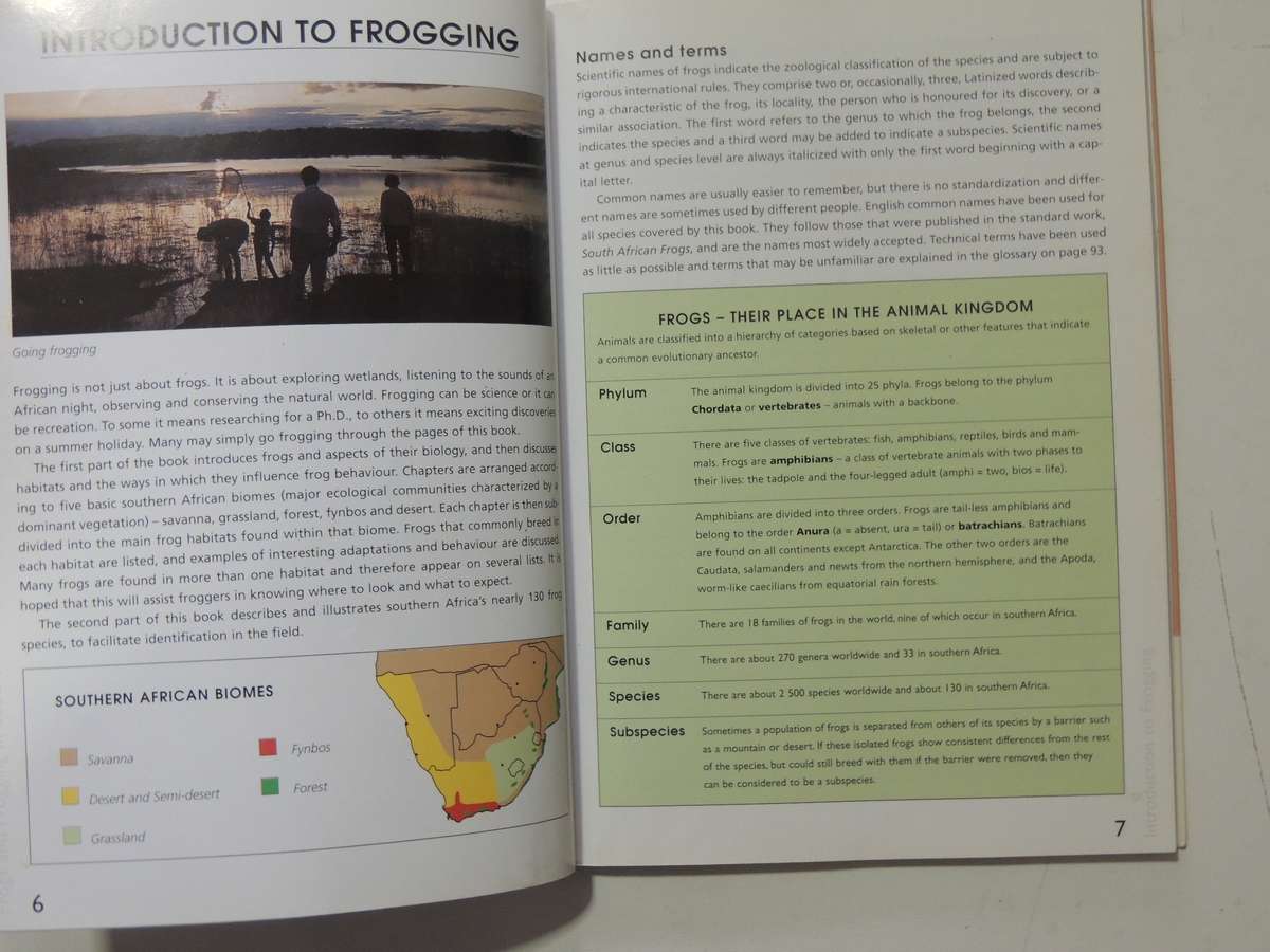 A Guide To The Identification Of TheFrogs Of The Witwatersrand - Vincent Carruthers     NO CD!!