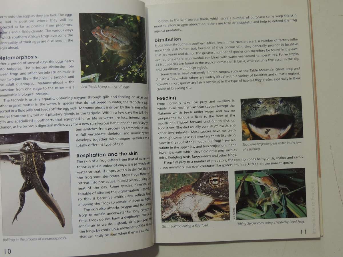 A Guide To The Identification Of TheFrogs Of The Witwatersrand - Vincent Carruthers     NO CD!!