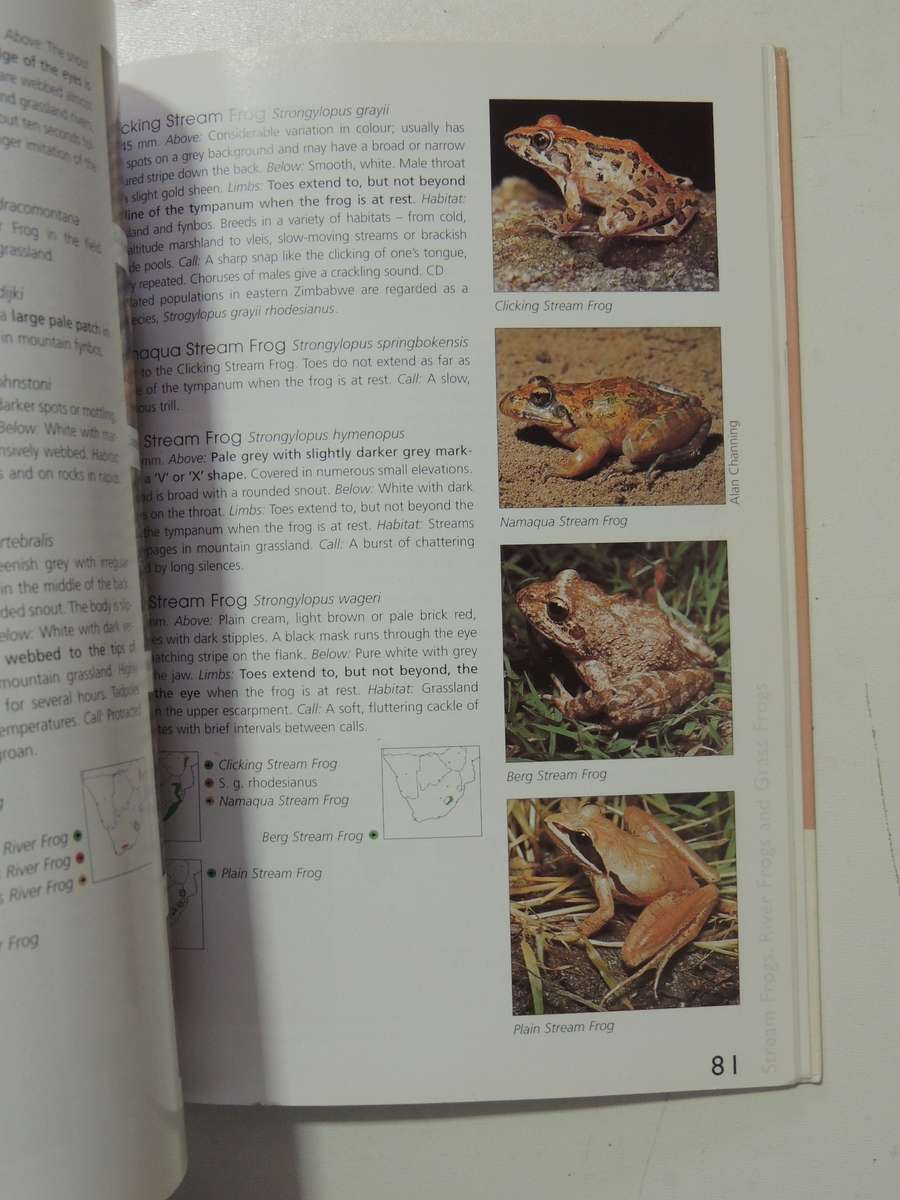 A Guide To The Identification Of TheFrogs Of The Witwatersrand - Vincent Carruthers     NO CD!!