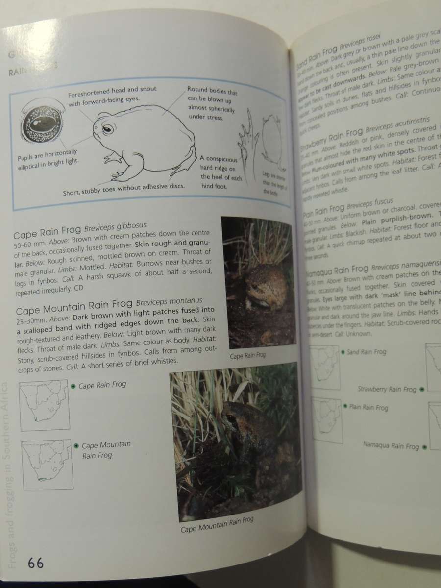 A Guide To The Identification Of TheFrogs Of The Witwatersrand - Vincent Carruthers     NO CD!!