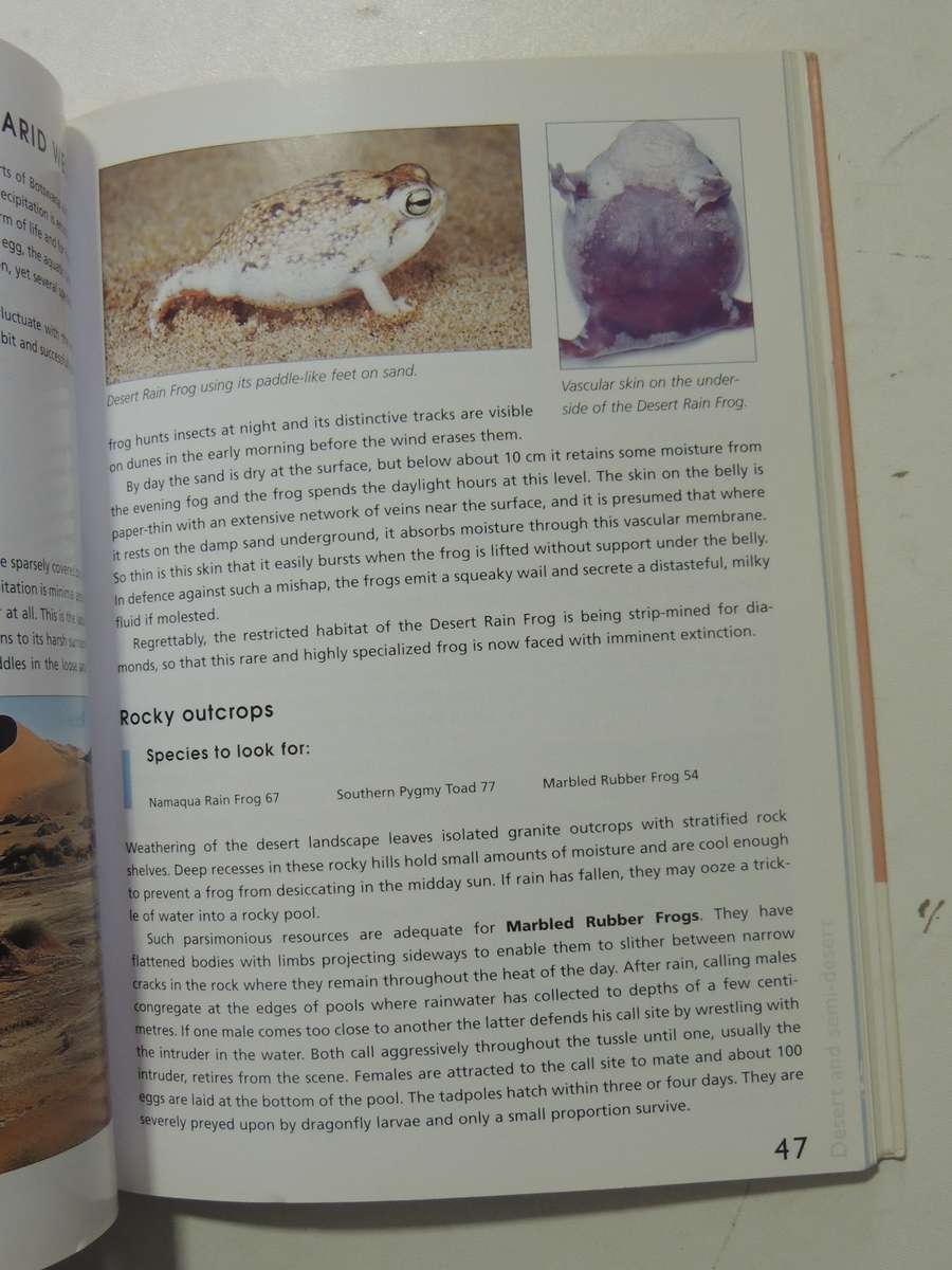 A Guide To The Identification Of TheFrogs Of The Witwatersrand - Vincent Carruthers     NO CD!!