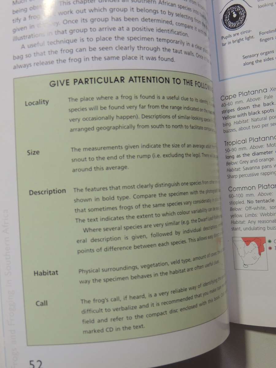 A Guide To The Identification Of TheFrogs Of The Witwatersrand - Vincent Carruthers     NO CD!!