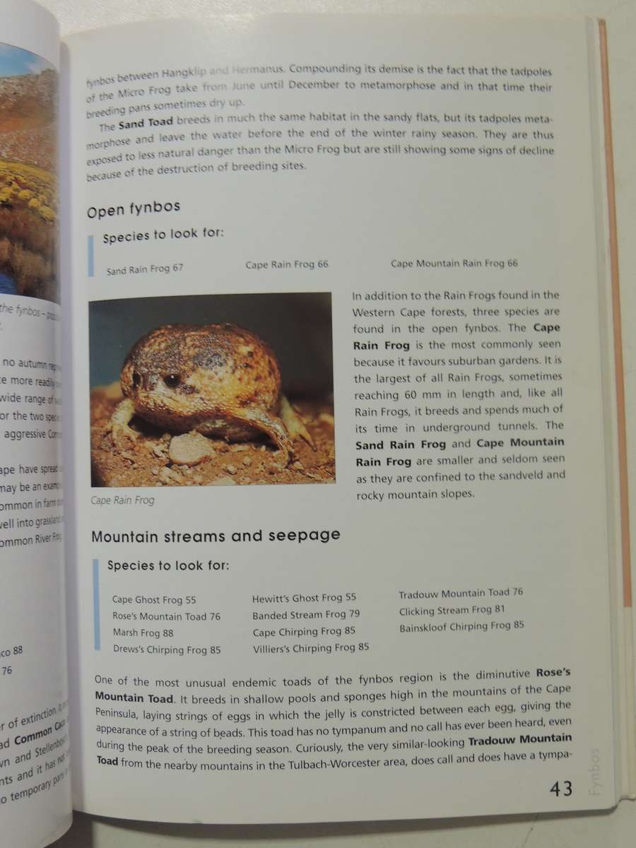 A Guide To The Identification Of TheFrogs Of The Witwatersrand - Vincent Carruthers     NO CD!!