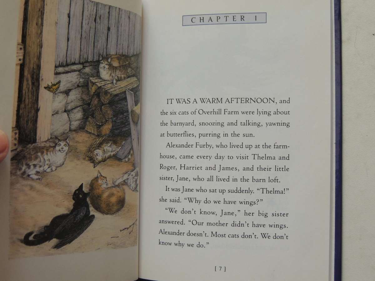 Jane on Her Own - A Catwings Tale - Ursula Le Guin