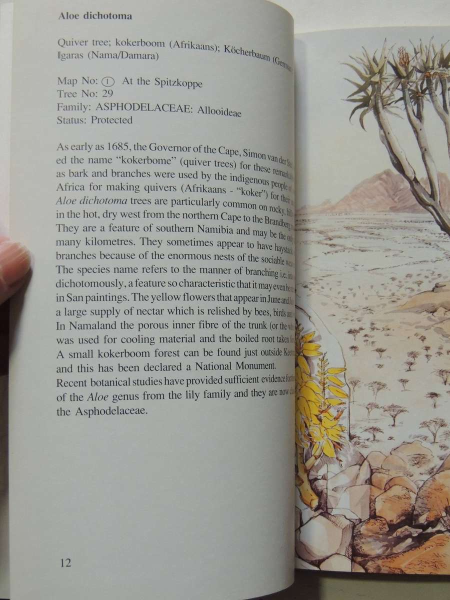 Damaraland Flora: Spitzkoppe, Brandberg, Twyfelfontein - Patricia Craven & Christine Marais