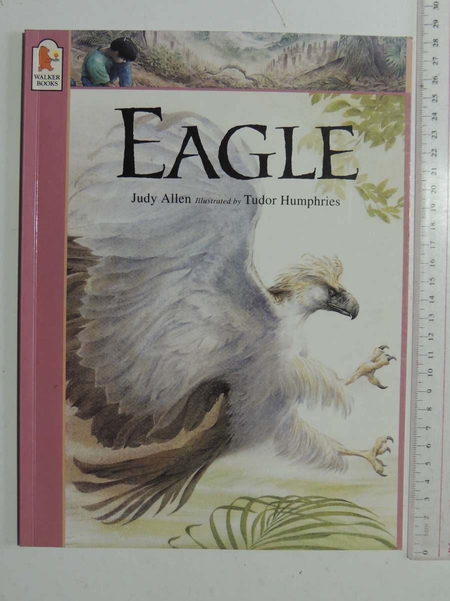 Eagle  - Judy Allen