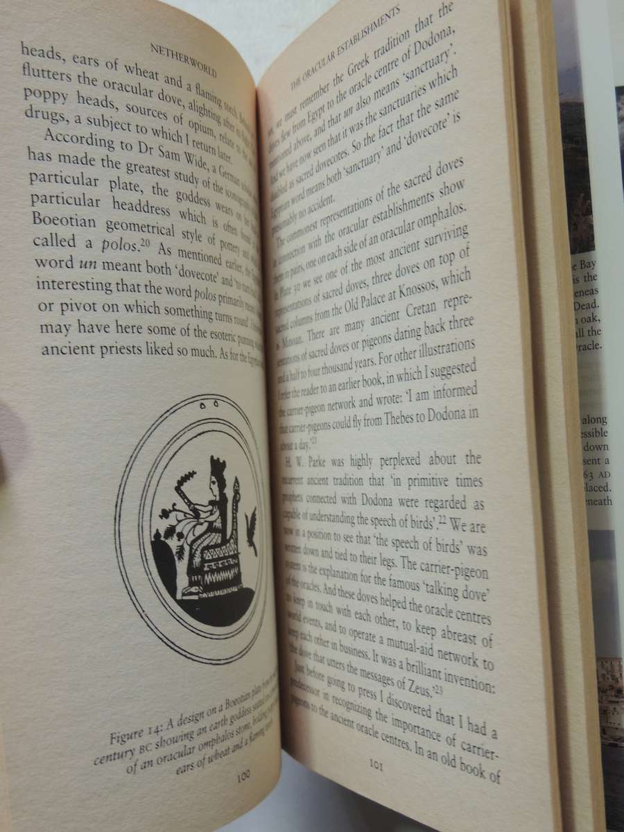 Nether World - Robert Temple