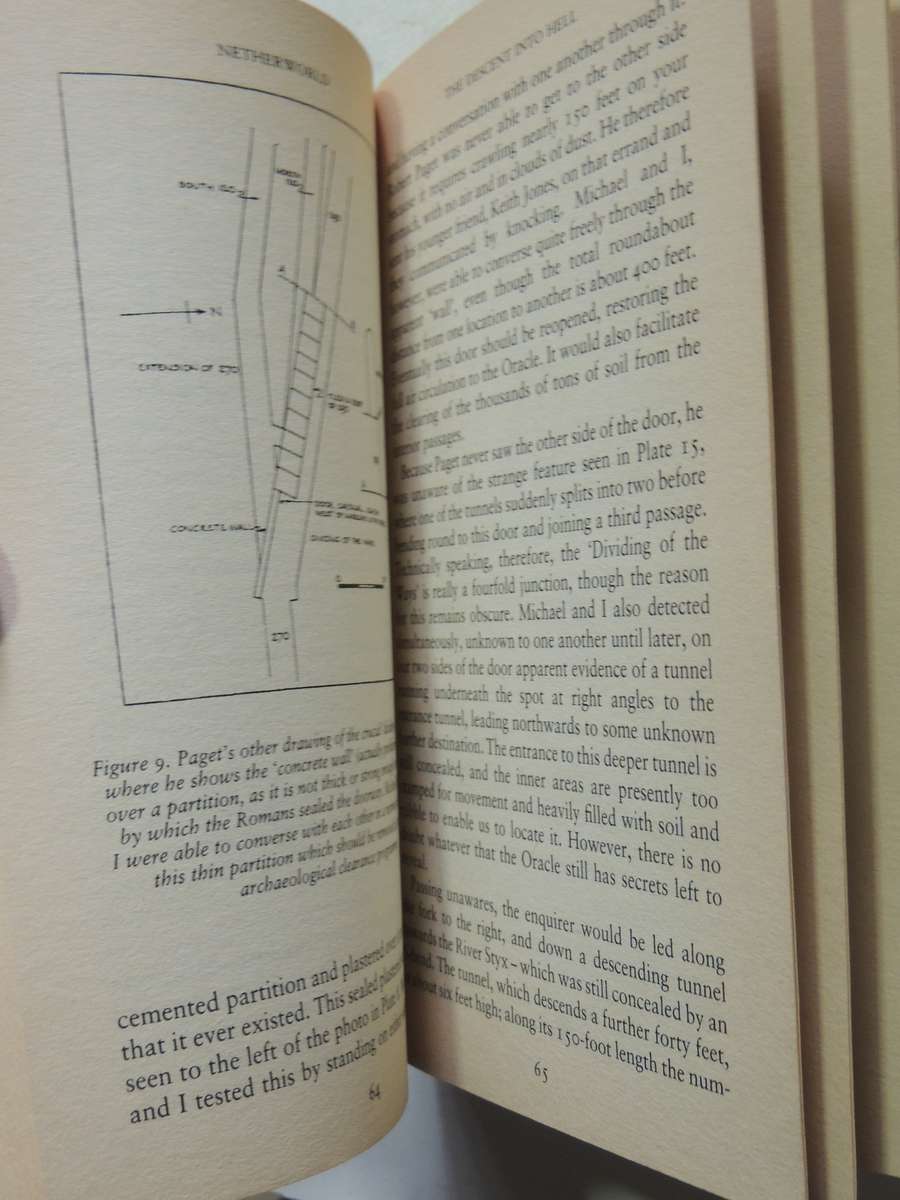 Nether World - Robert Temple