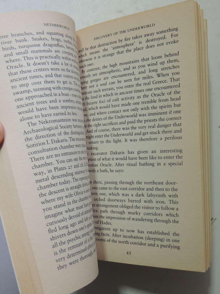 Nether World - Robert Temple