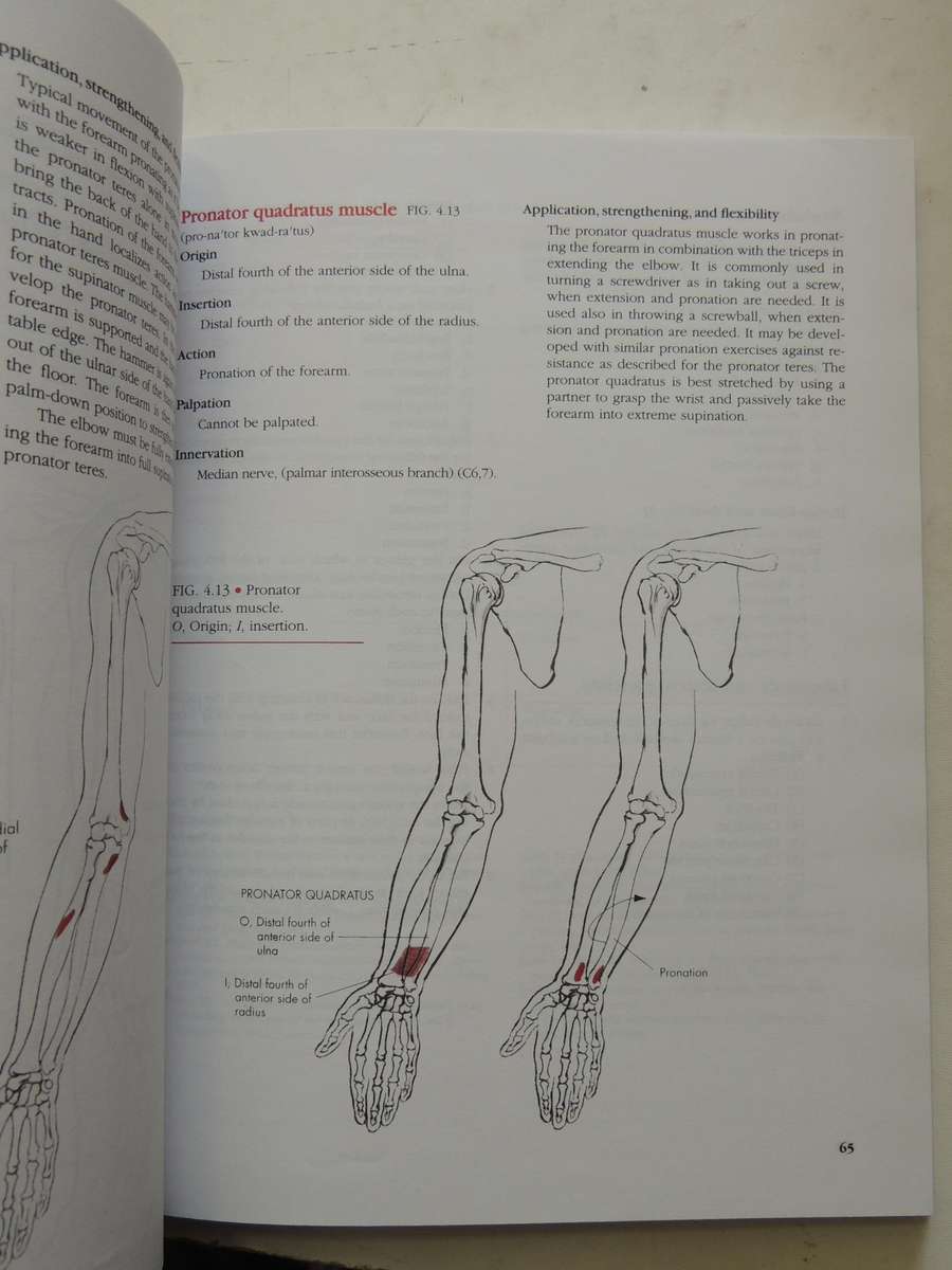 Manual Of Structural Kinesiology - R.T. Floyd & Clem W. Thompson  (Thirteenth Edition)