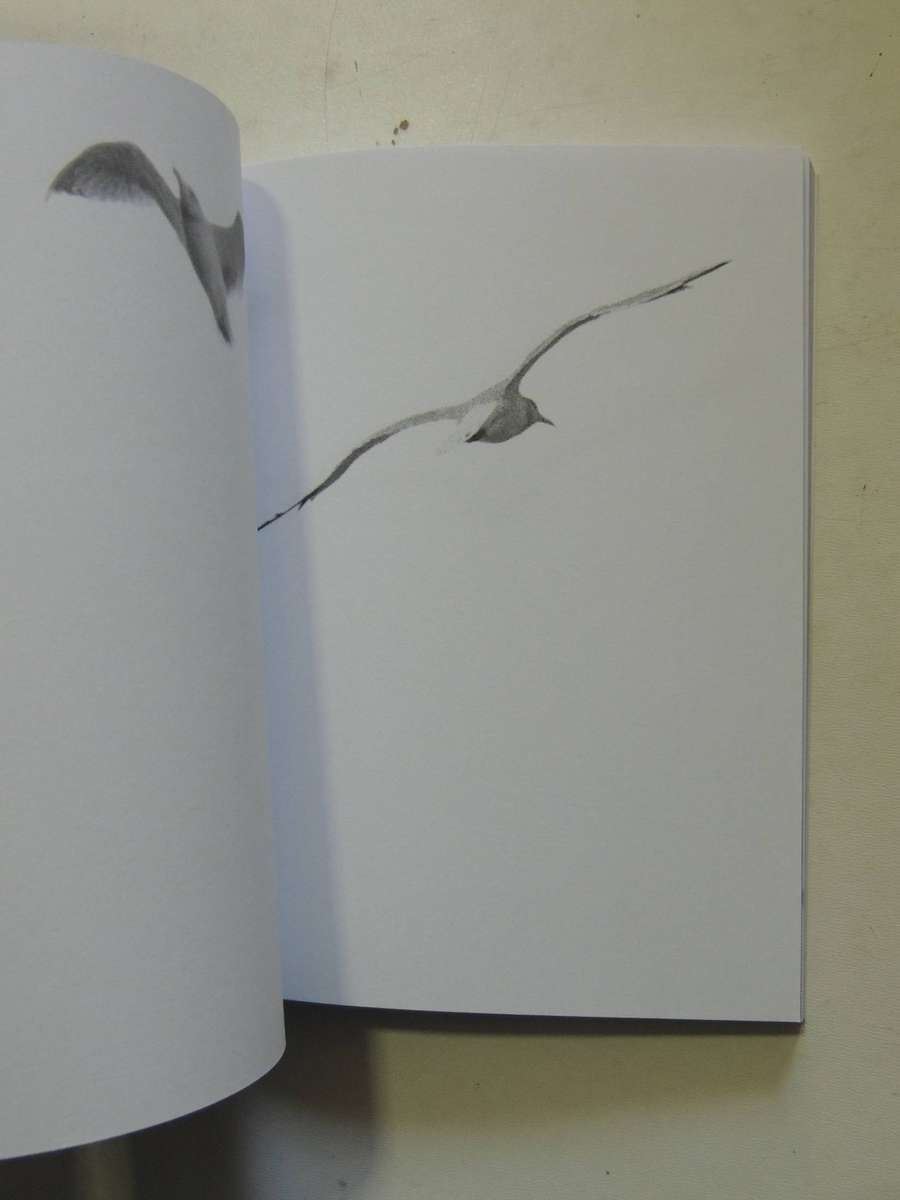 Jonathan Livingston Seagull: A Story The Complete Edition Includes The Rediscovered Part Four R Bach