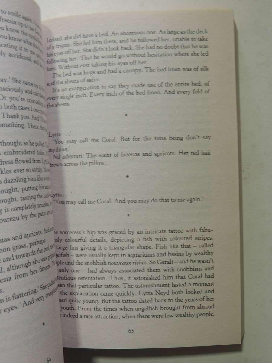 The Witcher Book 8:   Season Of Storms - Andrzej Sapkowski