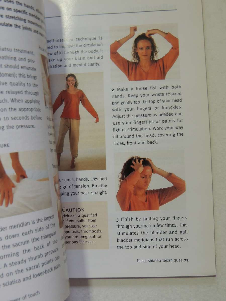 Healing Hands: A Concise Guide To The Therapeutic Power Of Touch - Raje Airey