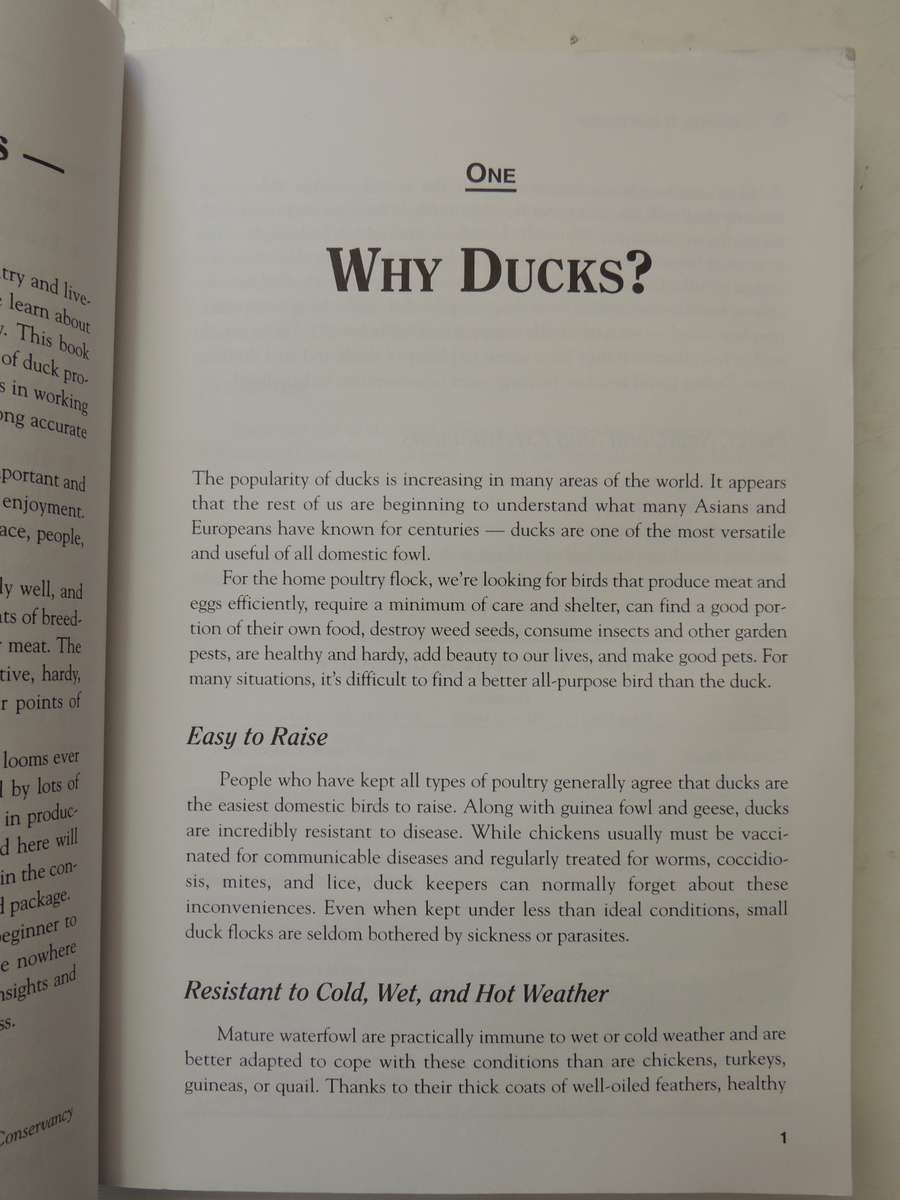 Storey's Guide to Raising Ducks, Breeds, Care, Health - Dave Holderread