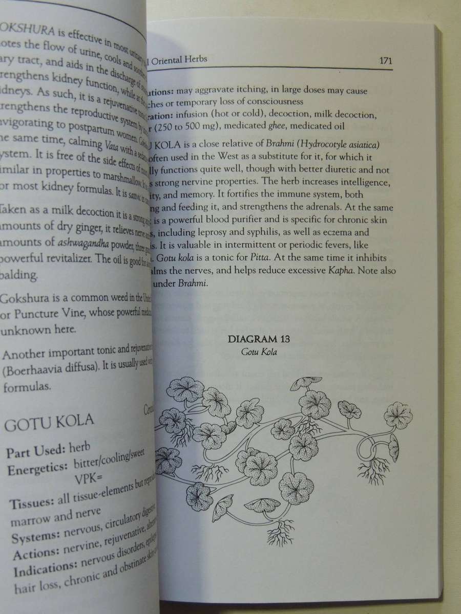 The Yoga Of Herbs: An Ayurvedic Guide To Herbal Medicine - Dr. David Frawley & Dr. Vasant Lad