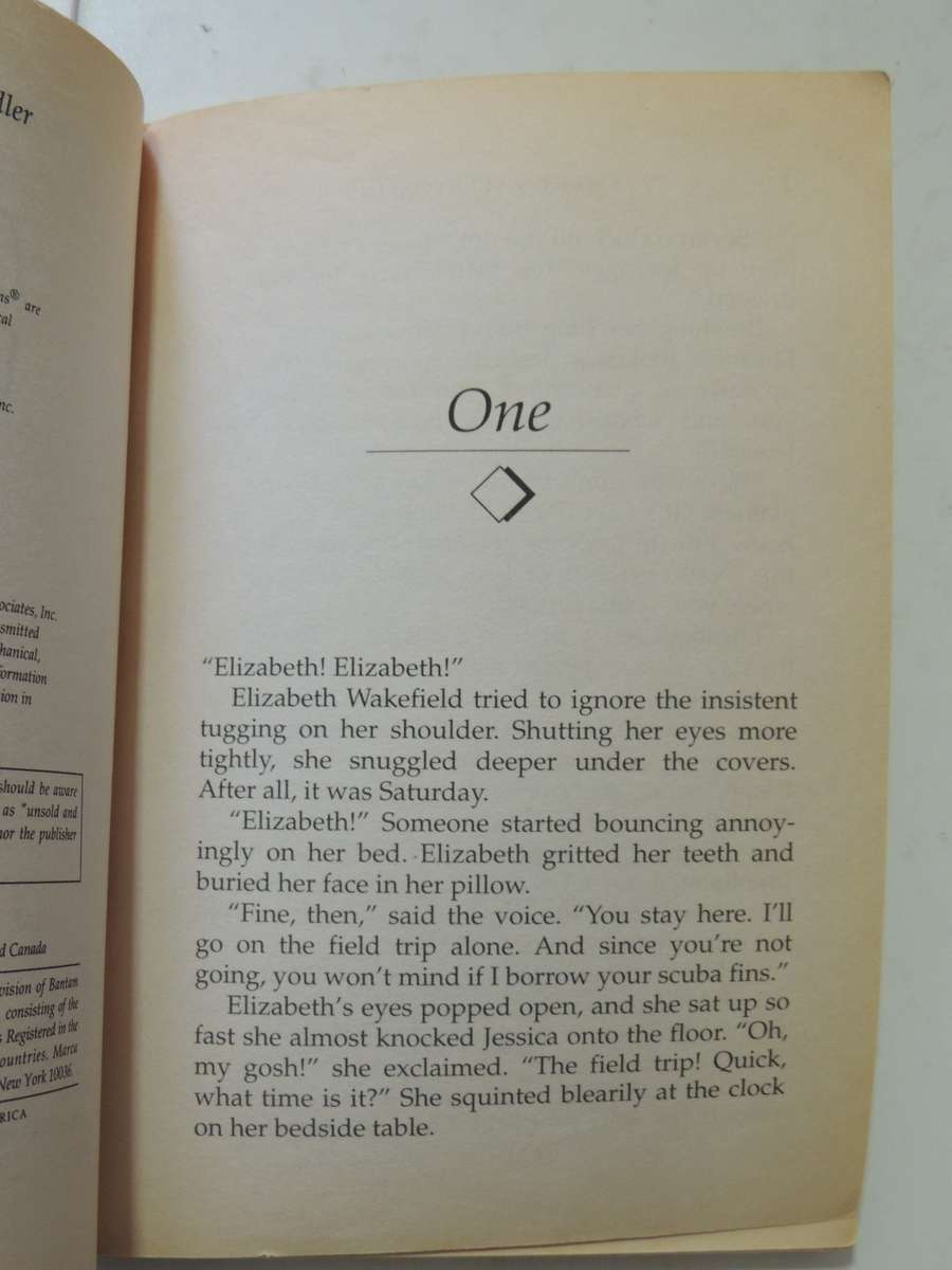 Sweet Valley Twins - Deadly Voyage No. 91 - Francine Pascal