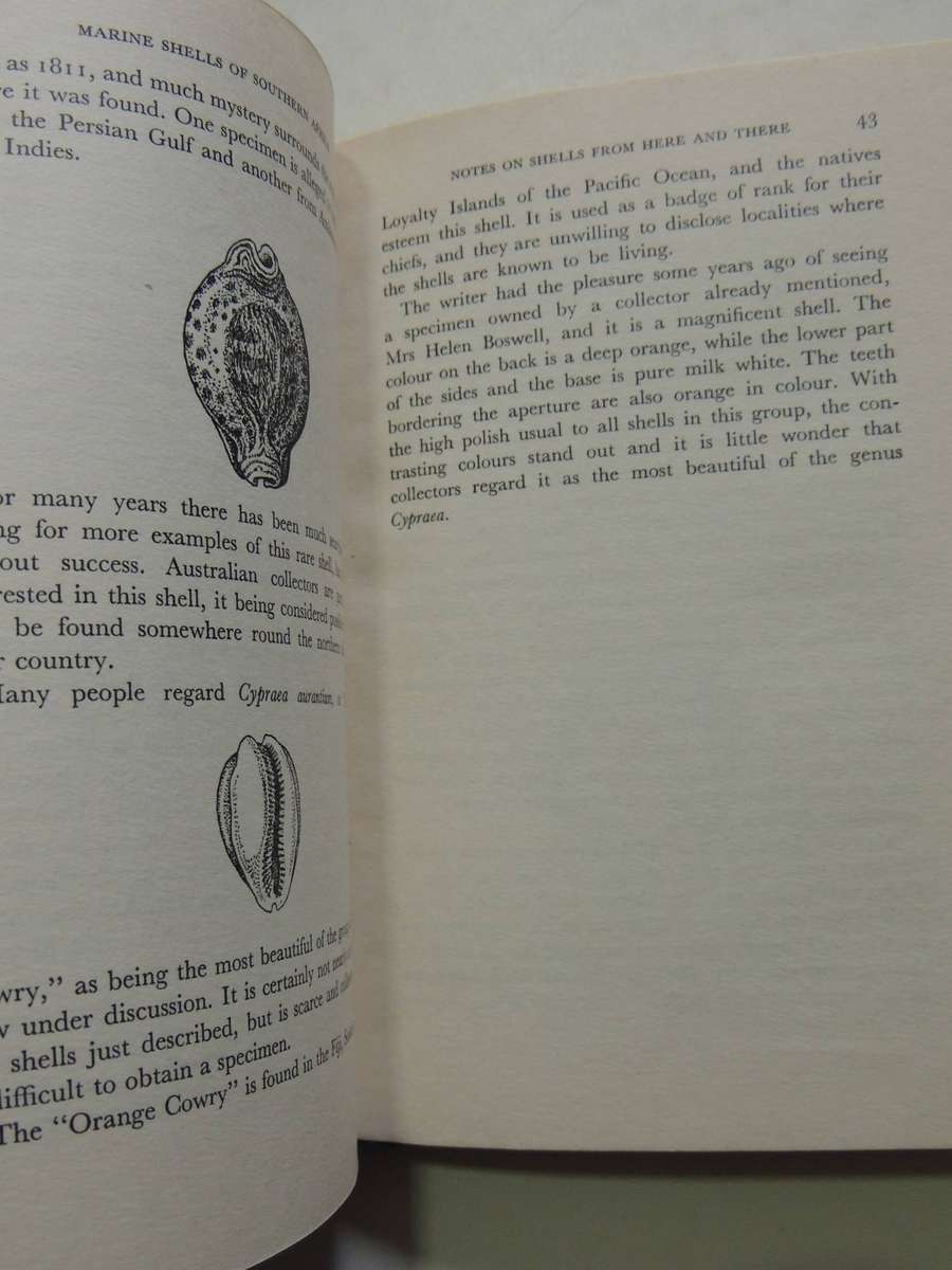 Marine Shells Of A Southern Africa - D.H. Kennelly