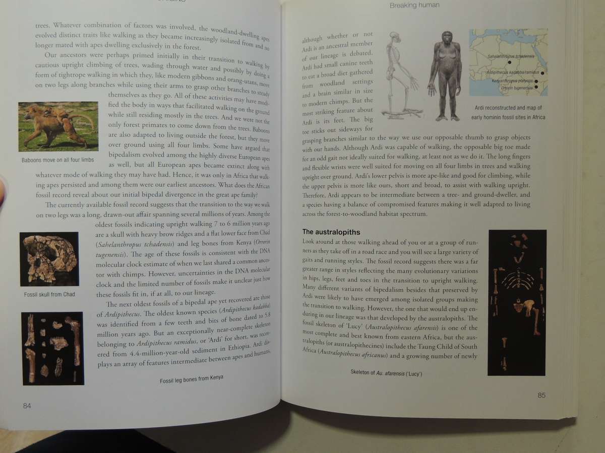 Human Origins, How Diet, Climate, & Landscape Shaped Us - John S Compton