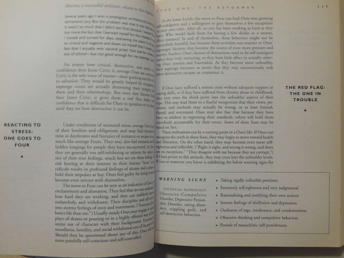 The Wisdom Of The Enneagram - Richard Don Riso, Russ Hudson