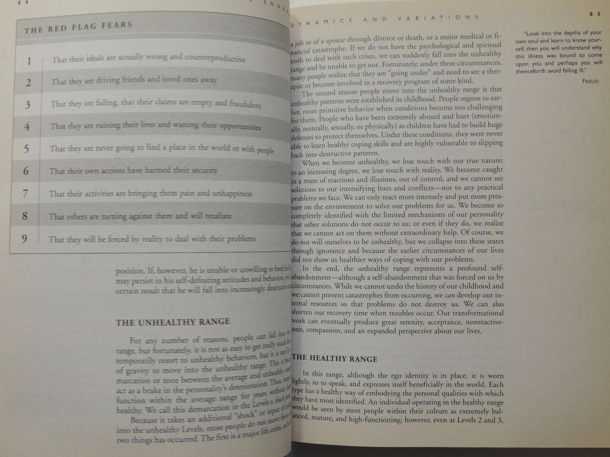 The Wisdom Of The Enneagram - Richard Don Riso, Russ Hudson