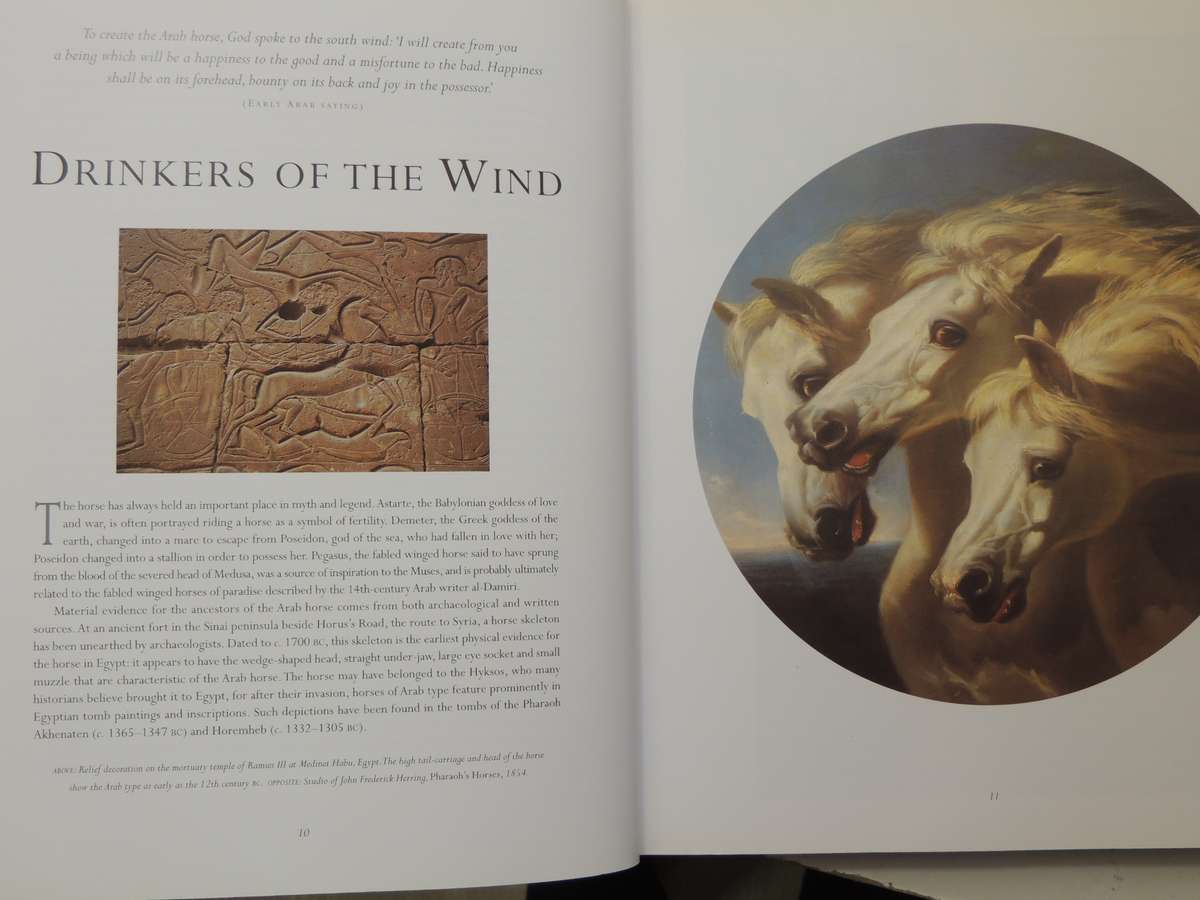 The Arabian Horse: History, Mystery And Magic - ed Hossein Amirsadeghi