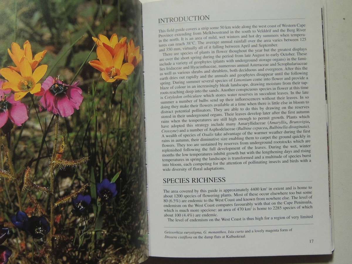 South African Wild Flower Guide 7: West Coast- John Manning & Peter Goldblatt
